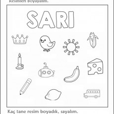 sarı  (31).jpg