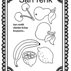 sarı (3).jpg