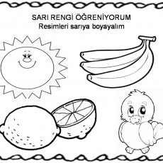 sarı  (4).jpg