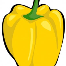 GÖRSEL5.jpg