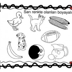 sarı  (7).jpg