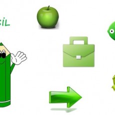 yeşil  (1).jpg
