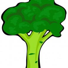 GÖRSEL5.jpg