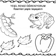yeşil  (31).jpg