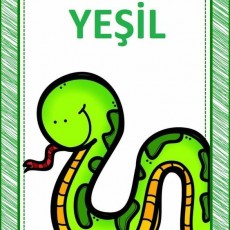 yeşil  (14).jpg