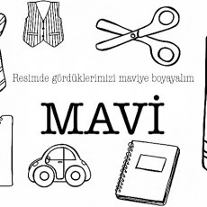 mavi  (24).JPG