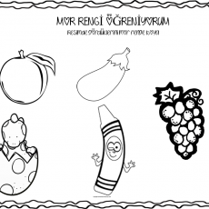 mor (3).PNG