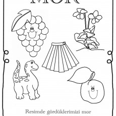 mor (23).JPG