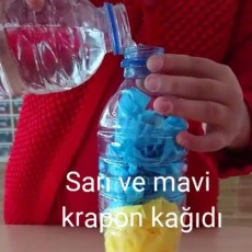 mor (21).jpg
