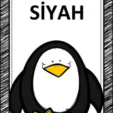 siyah  (7).jpg