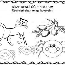 siyah  (16).jpg