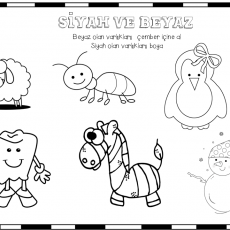 siyah  (1).PNG