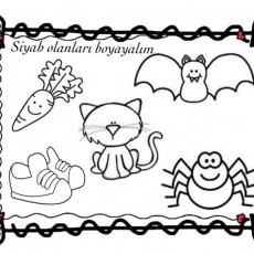 siyah  (15).jpg