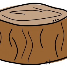 GÖRSEL1.jpg