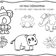 gri renk  (2).PNG