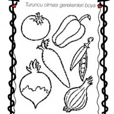 turuncu  (27).jpg