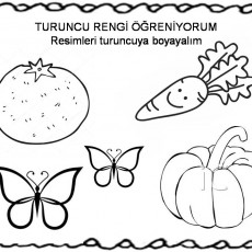 turuncu  (29).jpg