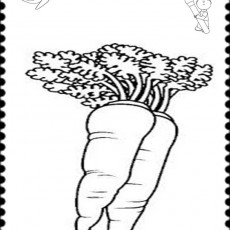 turuncu  (28).jpg