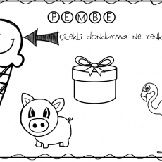 pembe (2).PNG