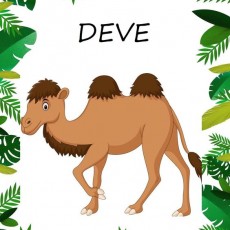 DEVE - Hayvanlar Eğitimi (Camel - Animal Education)