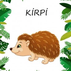 KIRPI - Eğitici Hayvanlar | Kirpi Çizimi ve Özellikleri