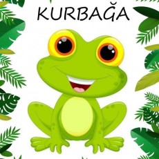 Kurbağa Eğitici Kartı