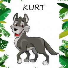 Kurt - Hayvanlar Eğitici Materyali