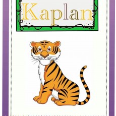 Kaplan - Sıfatlar ve Hayvanlar Eğitimi İçin Eğitim Materyali