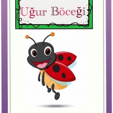 Eğitici Uğur Böceği Resmi - 1 (One Ladybug Illustration)