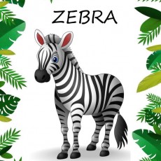 ZEBRA - Eğlenceli Hayvan Illustrasyonu ve Doğa Öğretimi