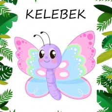 Kelebek: Renkli ve Mutlu Bir Çizim ile Kelebek Eğitimi
