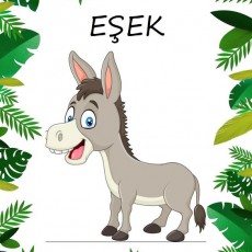 Eşek İllüstrasyonu - Eğitici Hayvan Öğretimi