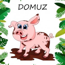 DOMUZ - Sevimli Domuz Karakteri ve Eğitsel Materyal