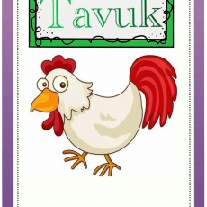 Tavuk Resmi: Temel Hayvan Eğitimi