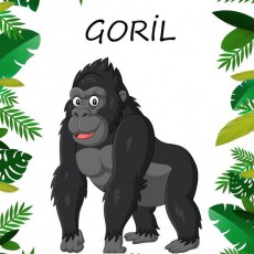 Goril Eğitim Materyali - Hayvanlar