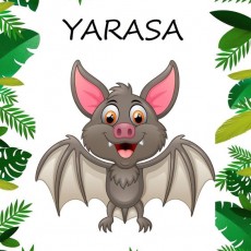Yarasa: Eğlenceli Çizgi Karakter ile Hayvan Eğitimi