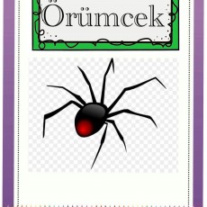 Öğretici Materyal: Örümcek - Hayvanlar ve Özellikleri