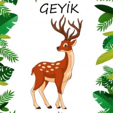 Eğitici Geyik Resmi: Doğada Geyikler ve Özellikleri
