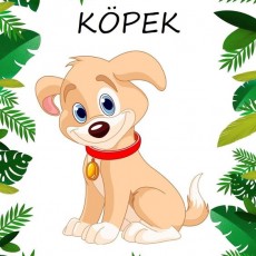 Köpek Eğitici Materyali - Hayvanlar ve Eğitim
