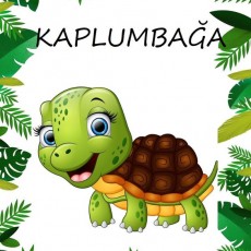 Kaplumbağa Eğitici Görseli