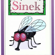 Sinek - Eğitici Materyal
