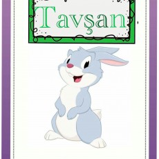 Tavşan - Renkli Eğitici Kart