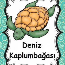 Deniz Kaplumbağası Eğitici Materyal