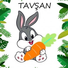 Tavşan ve Havuç: Sevimli Karakter Eğitimi