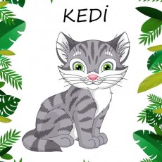 Eğitsel Grafik: KEDİ - Kedilerin Özellikleri ve Eğitim Materyali