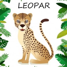 Eğitsel Materyal: LEOPAR - Hayvanlar Dünyası