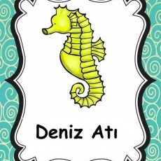 Deniz Atı Eğitici Kart Başlığı (Seahorse Educational Card Title)