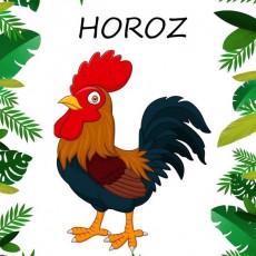 HOROZ - Çizim ve Eğitsel Materyal, Hayvanlar