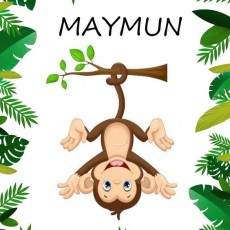 Maymun - Hayvanlar Dünyası - 1 Maymun