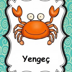 Yengeç Kartı - Eğitici Matematik Öğrenimi